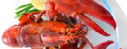 /Homard